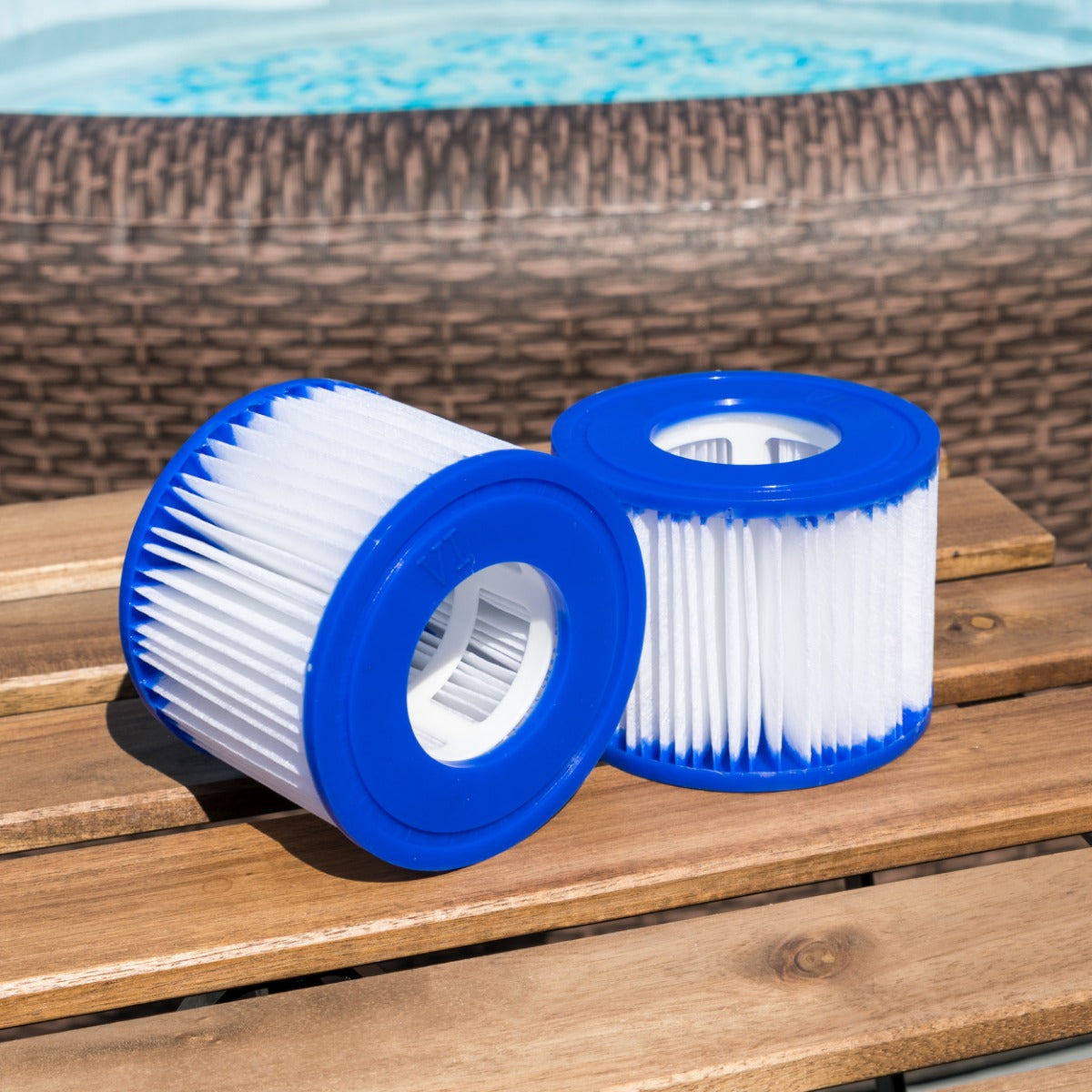 Filter Cartridge (2 Pack)