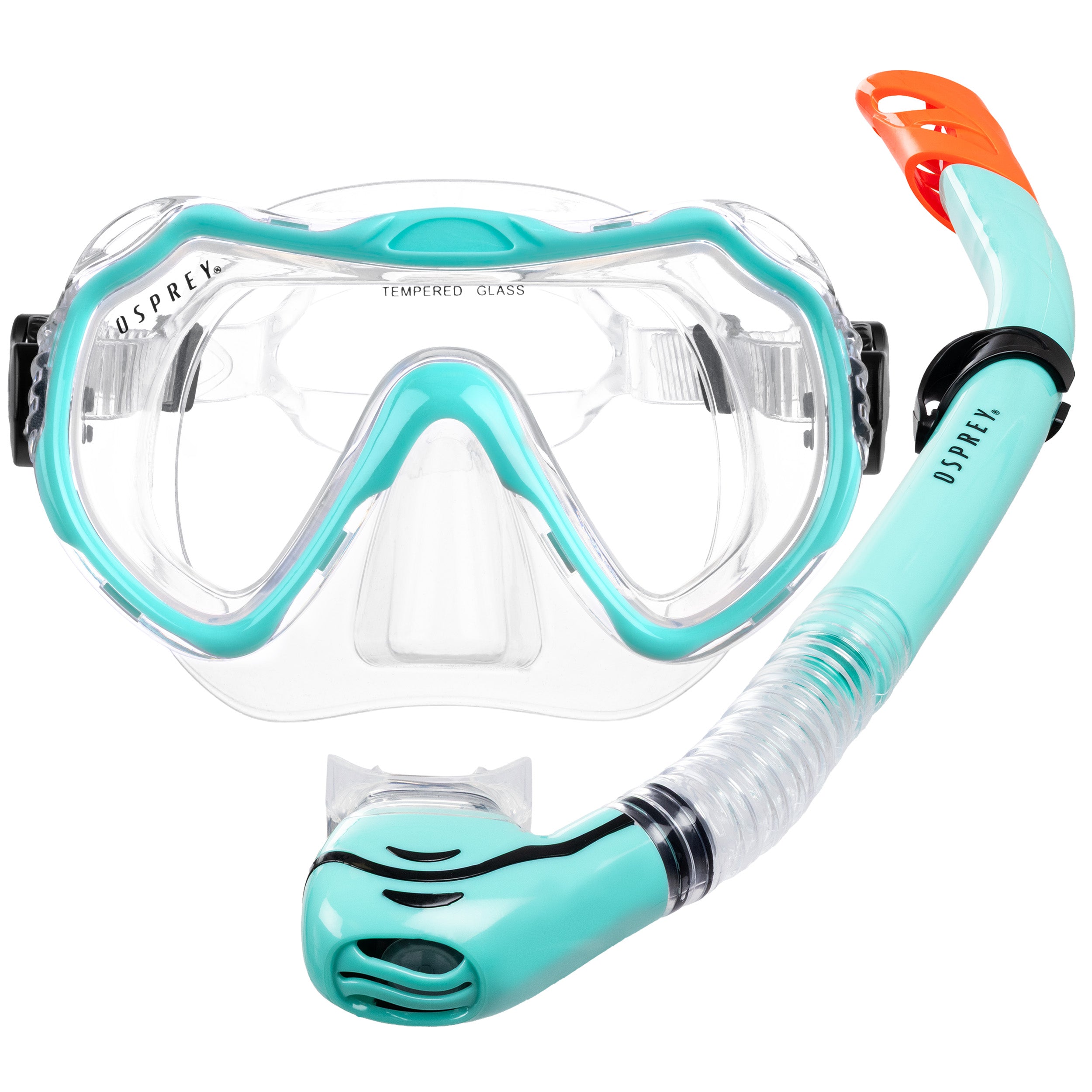 adult snorkel set