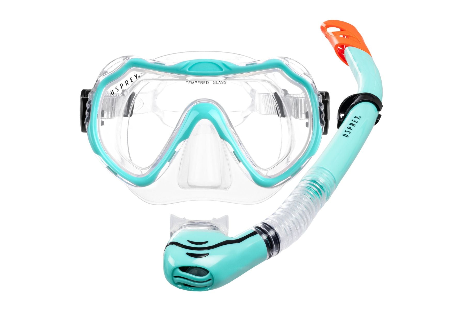 diving mask and snorkel set