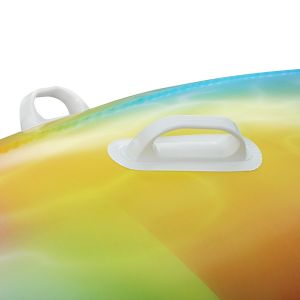 dolphin inflatable pool floatie