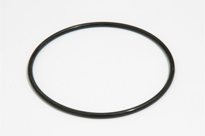 filter pump cap seal