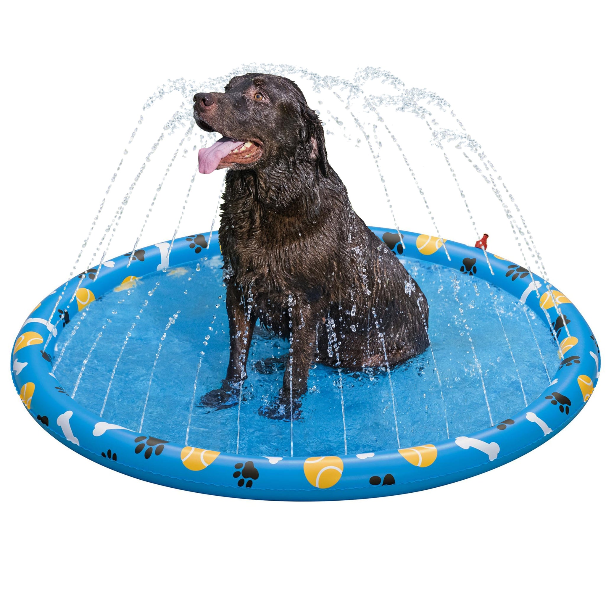 Inflatable Dog Splash Pad | Splash Pads | Bestway Store UK | Bestway UK